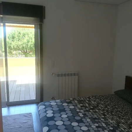 Apartament Pine Spot Ovar